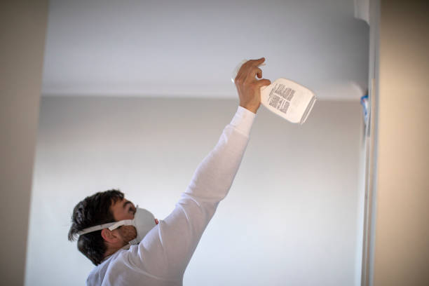 Best Mold Remediation  in Clearview, WA